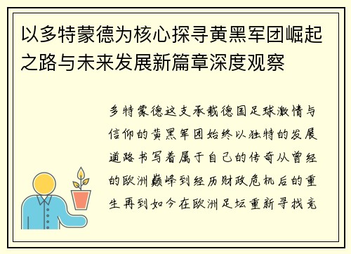 以多特蒙德为核心探寻黄黑军团崛起之路与未来发展新篇章深度观察